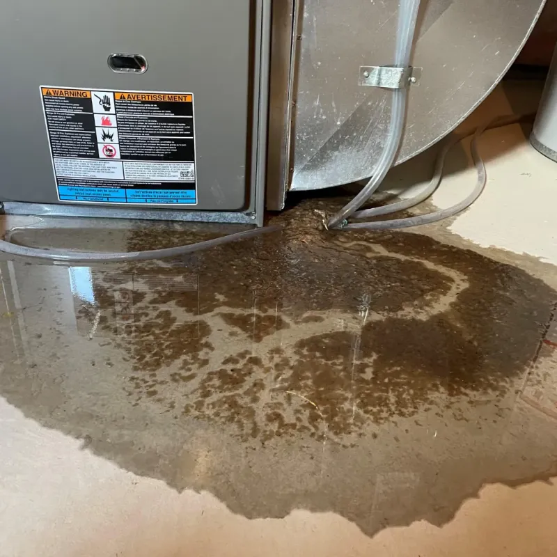 Appliance Leak Cleanup in Exeter, PA